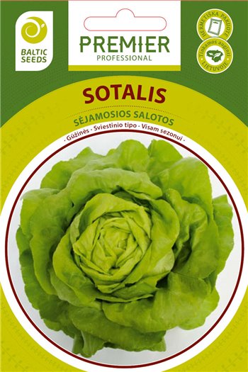 SOTALIS, salotos, 50 sėklų