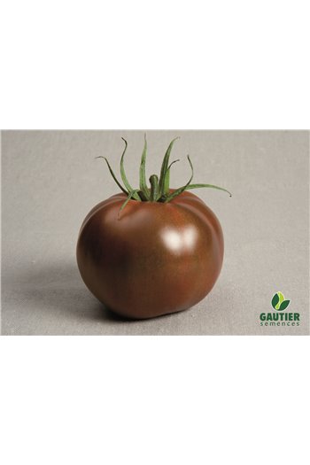 Ypatingo skonio juodieji pomidorai KAKAO HF1