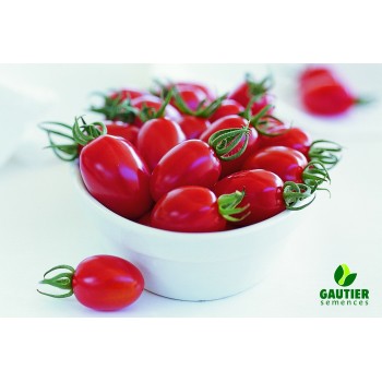 Jaučio širdies tipo pomidorai CAURALINA HF1