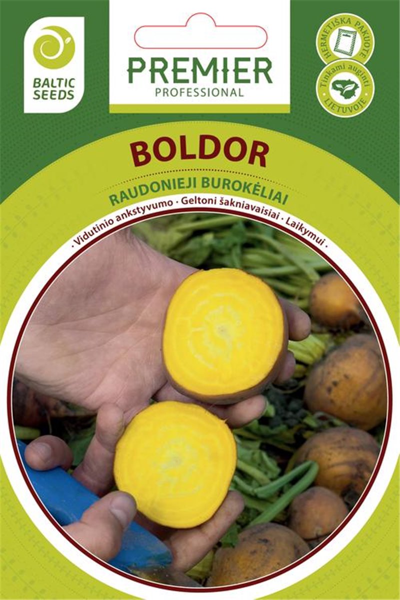 BOLDOR, geltonieji burokėliai, 150 sėklų