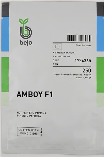 AMBOY F1, aštriosios paprikos, 250 sėklų
