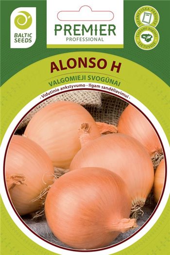 ALONSO H, valgomieji svogūnai, 250 sėklų