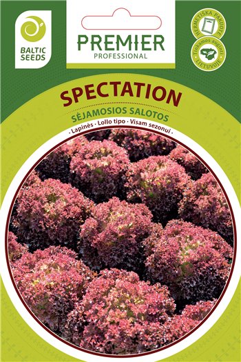 SPECTATION, salotos, 50 sėklų