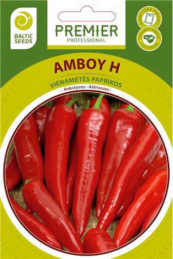 AMBOY H, aštriosios paprikos, 10 sėklų