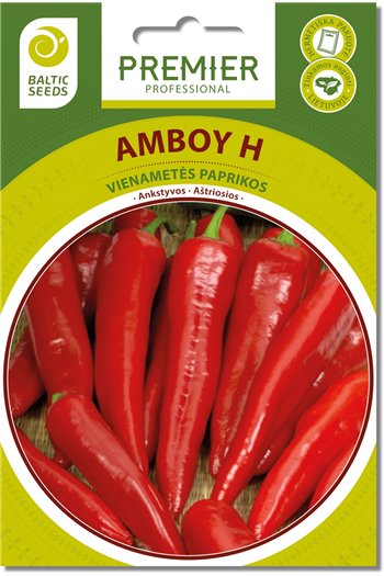 AMBOY H, aštriosios paprikos, 10 sėklų