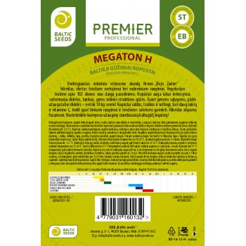 MEGATON H, baltieji gūžiniai kopūstai, 45 sėklos