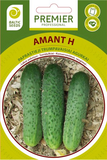 AMANT H, savidulkiai agurkai, 20 sėklų