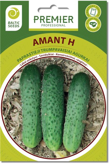 AMANT H, savidulkiai agurkai, 20 sėklų