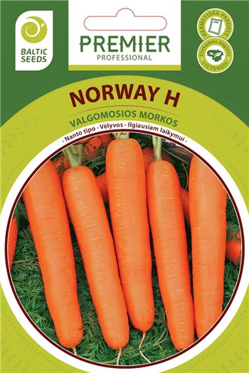 Morkos NORWAY H, 600 sėklų