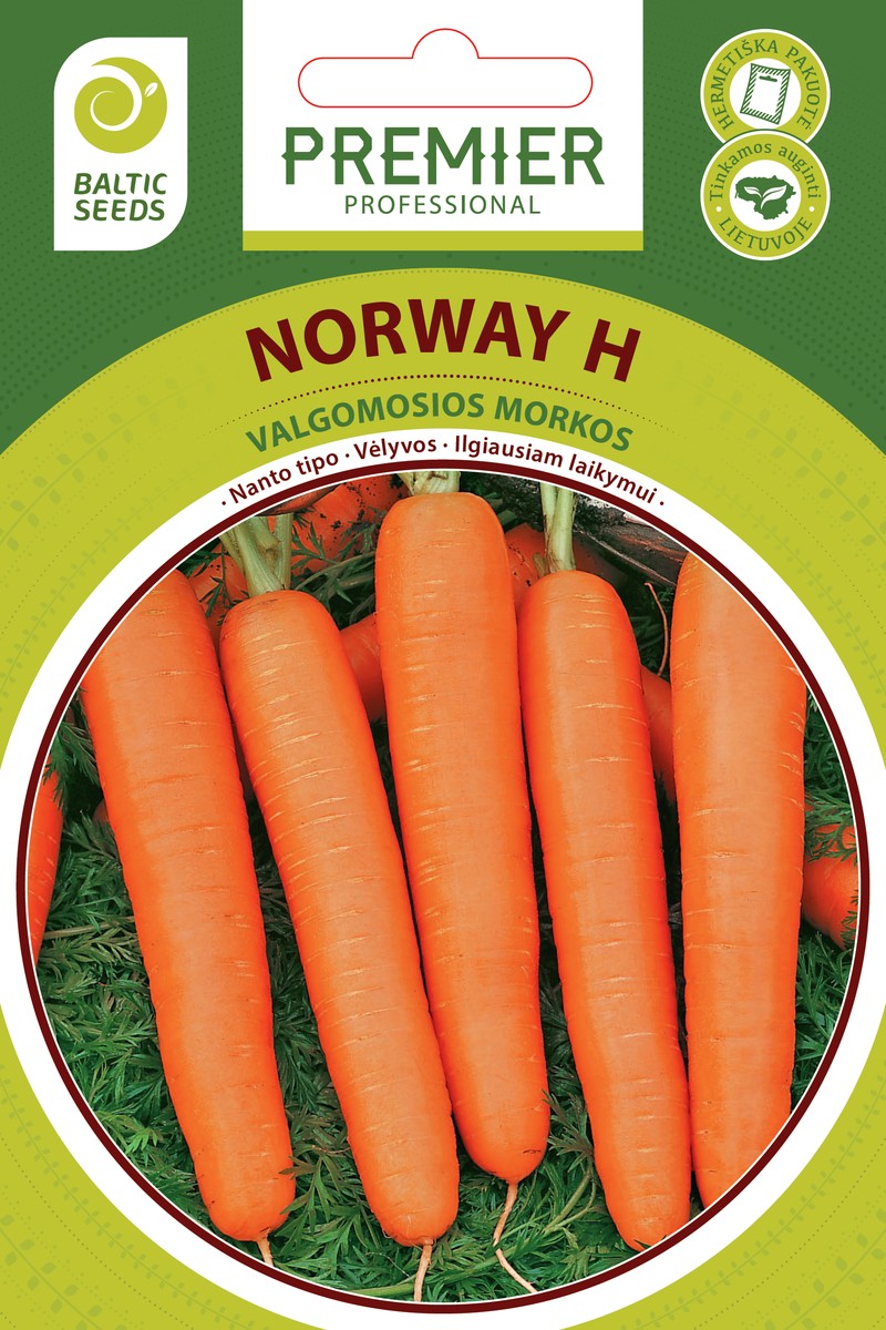 Morkos NORWAY H, 600 sėklų