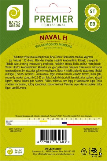 Morkos NAVAL H, 600 sėklų