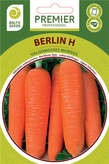 BERLIN H, valgomosios morkos, 600 sėklų
