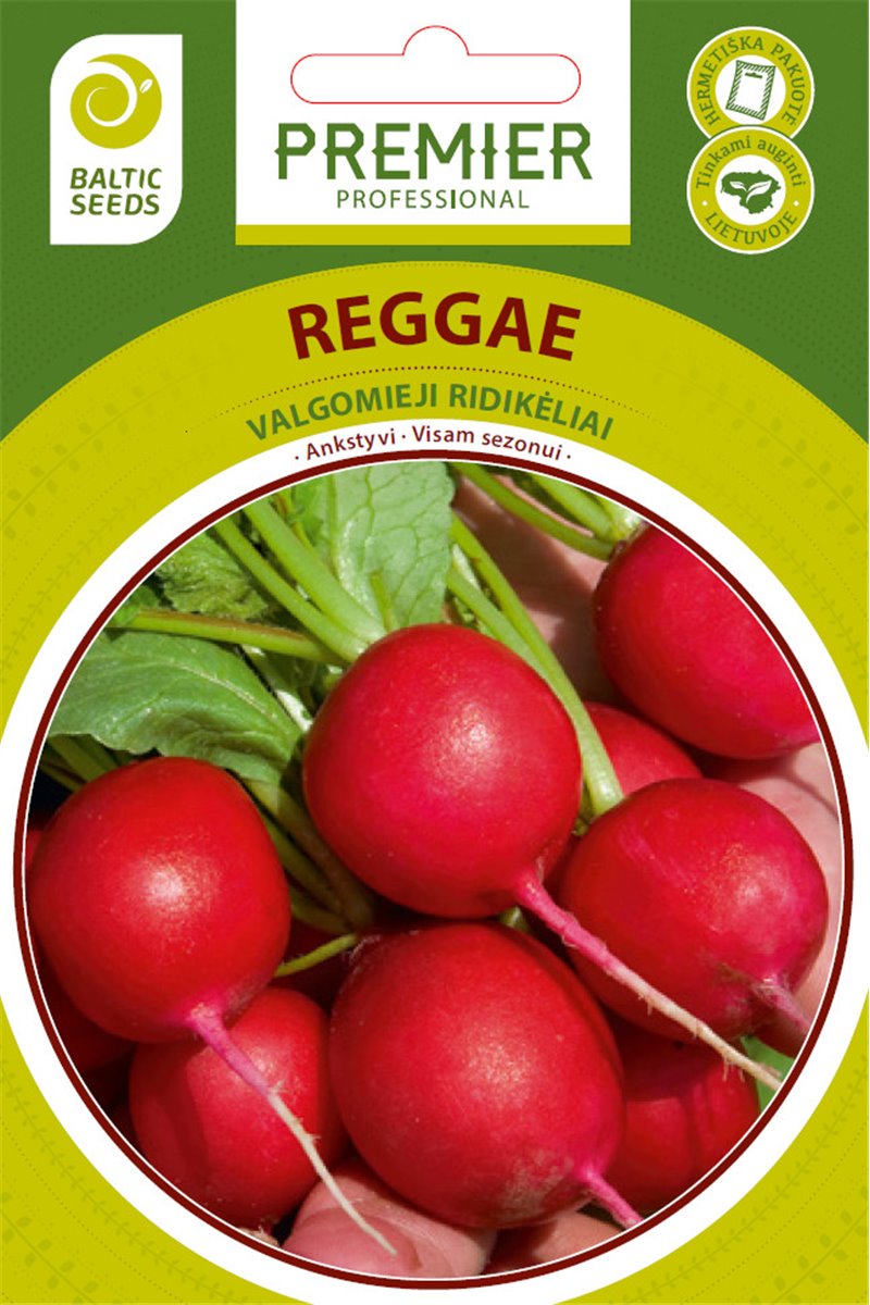 REGGAE - Scarlet Champion ridikėlių sėklos, 5 g
