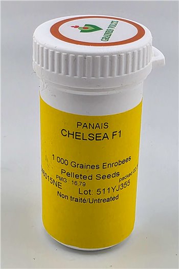 Pastarnokai CHELSEA F1