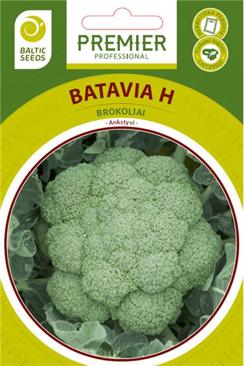 BATAVIA H, brokoliai, 30 sėklų