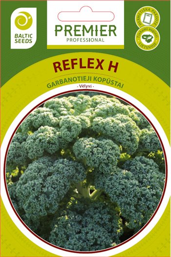 REFLEX H, garbanotieji (lapiniai) kopūstai, 20 sėklų