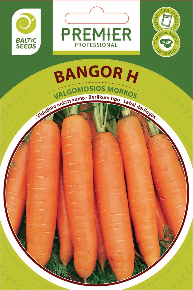 BANGOR H, valgomosios morkos, 600 sėklų