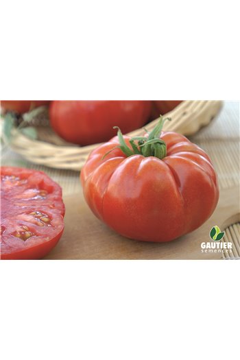 Desertiniai pomidorai MARBONNE HF1