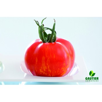 TIROUGE HF1, valgomieji pomidorai, 100 sėklų