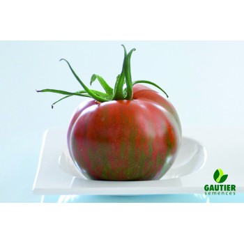TIMENTA HF1, valgomieji pomidorai, 100 sėklų