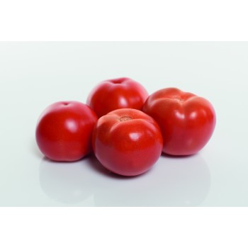 TOIVO F1, valgomieji pomidorai
