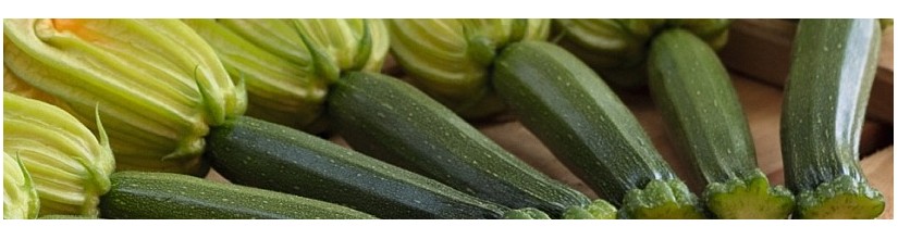Cukinijos. Cukinijų sėklos internetu | balticseeds.lt
